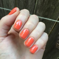 zoya nail polish and instagram gallery image 3